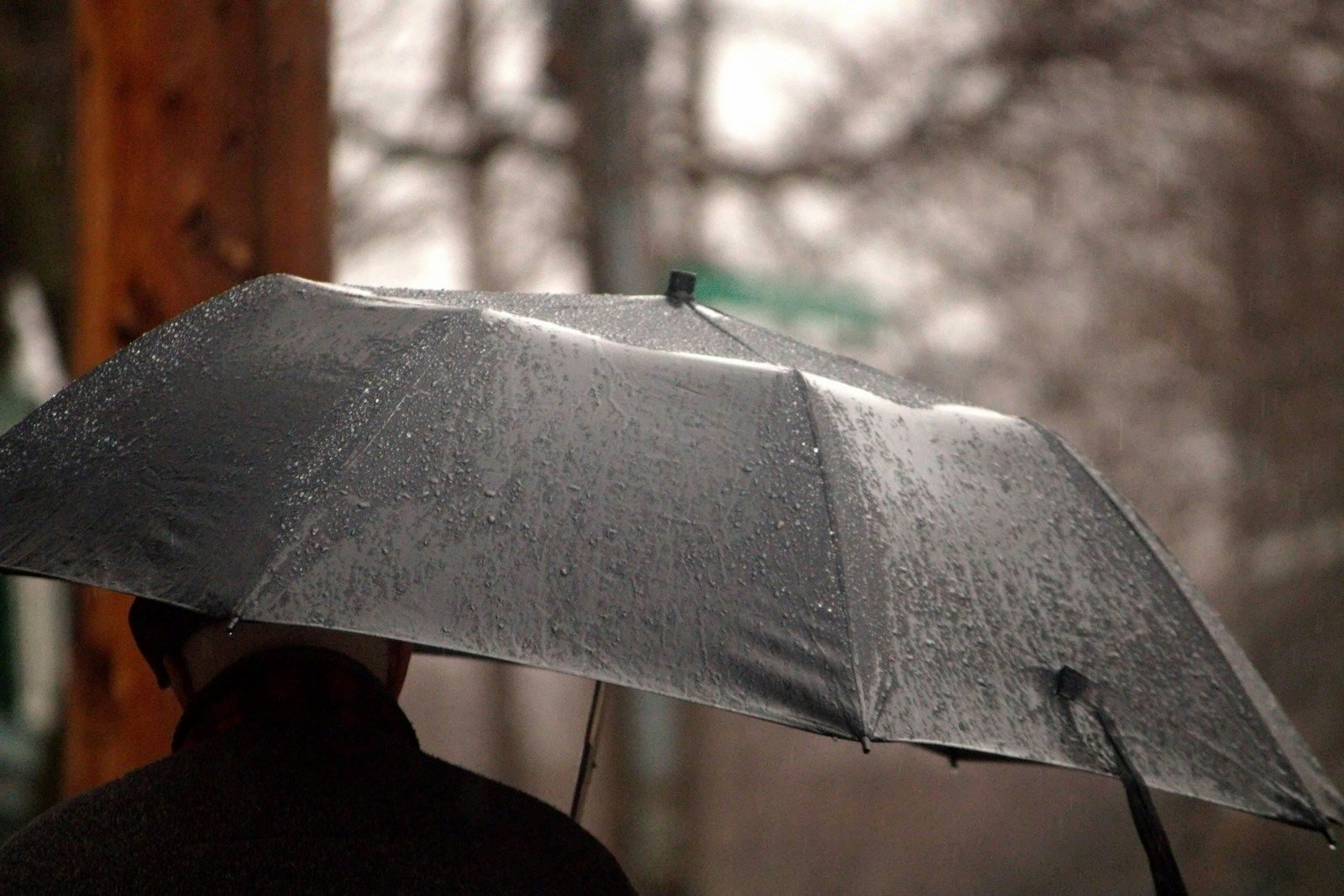 a person holding an umbrella in the rain